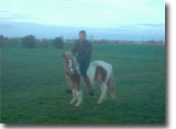 Poney-Club